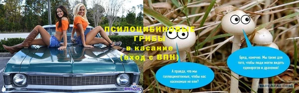 амф Корсаков